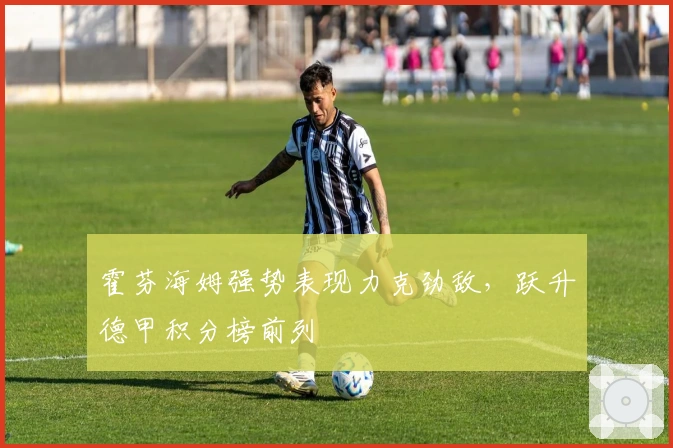 霍芬海姆强势表现力克劲敌，跃升德甲积分榜前列