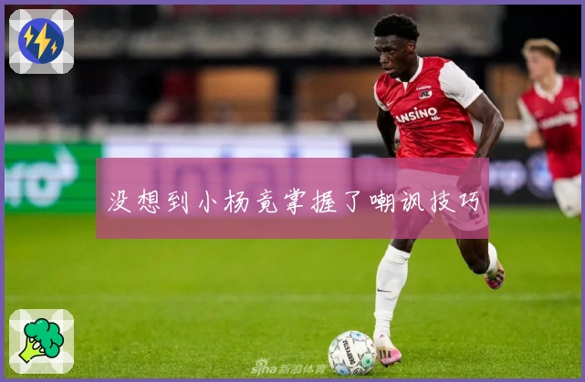 没想到小杨竟掌握了嘲讽技巧